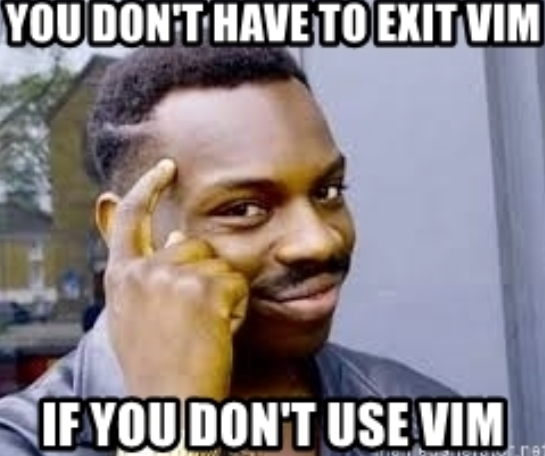 Man with finger pointing to head with caption 'You dont have to exit VIM if you dont use VIM'